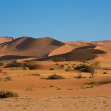 "Namib Desert" - Namibia